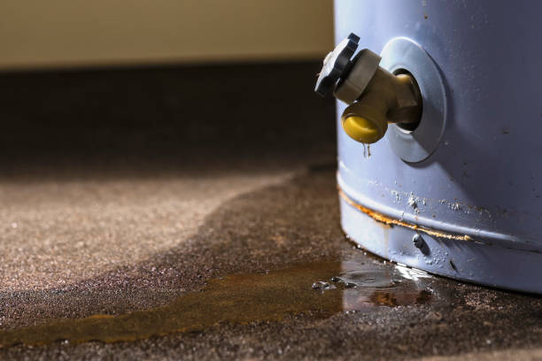 Best Flood damage cleanup  in San Miguel, CA