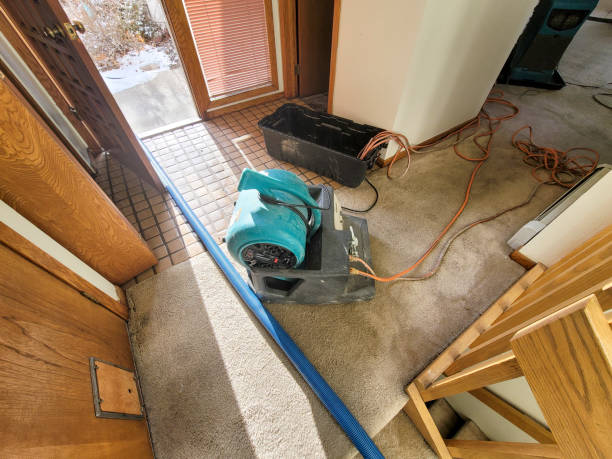 Best Ceiling water damage repair  in San Miguel, CA
