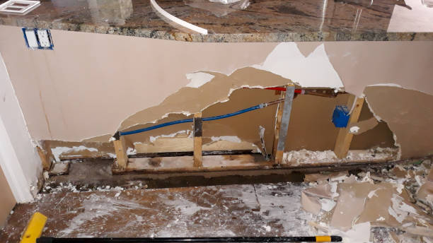 Best Water damage restoration experts  in San Miguel, CA