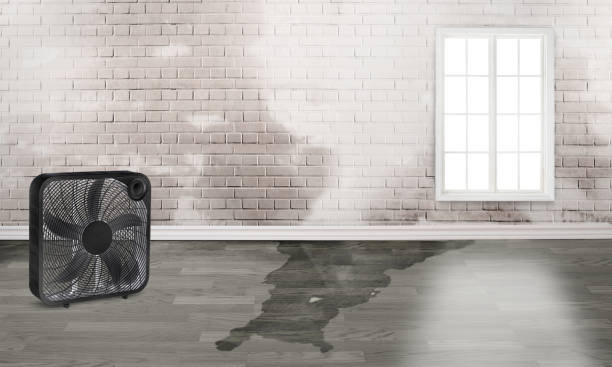 Best Flooded house restoration  in San Miguel, CA
