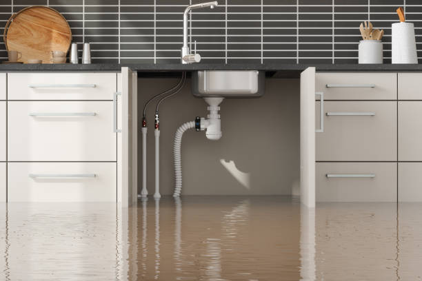 Best Sewage cleanup and water damage restoration  in San Miguel, CA