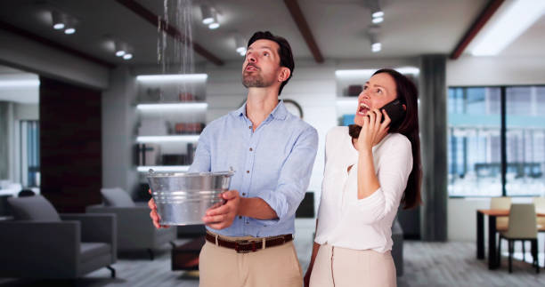Best Carpet water damage restoration  in San Miguel, CA